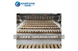 China Double Layer Protein Bar Processing Line supplier