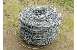 China Rust resistance Single strand Hot Dipped Galvanized steel Barbed Wire supplier