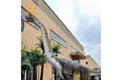 China Lifelike Real Animatronic Dinosaur Model Long Neck Brachiosaurus Dinosaur for Mall supplier