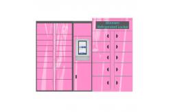 China Winnsen Cabinet Vegetable Refrigerated Locker Electronic Storage Smart Lockers supplier