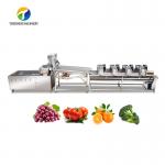 4.5KW Fruit And Vegetable Processing Line Vibration Draining Equipment for sale