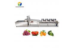 China 4.5KW Fruit And Vegetable Processing Line Vibration Draining Equipment supplier