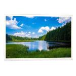 12.1inch High Tni Lcd 1000 Nits Industrial Display Screen Monitor For Outdoor Equipment for sale