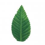 7.5cm Green Leaf Food Serving Tools Decoration Plastic Sushi Leaf for sale
