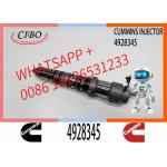 Q19 Diesel Engine Common Rail Injector 4087888 4087889 4928348 4010025 4928345 4928346