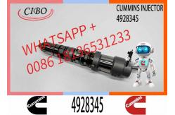 China Q19 Diesel Engine Common Rail Injector 4087888 4087889 4928348 4010025 4928345 4928346 supplier