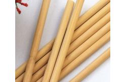 China 15cm Biodegradable Reusable Bamboo Drinking Straws Bubble Tea Juice supplier