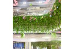 China Durable Lifelike Artificial Plant Wall For Store  Long Term Life Time supplier