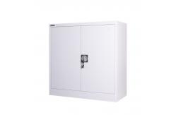 China Metal Office Storage Two Doors Cupboard With Adjustable Shelf supplier