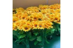 China Cri70 1m 1.2m Height Solar Flower Light For Holiday Park supplier