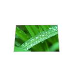 RGB Vertical Stripe B154EW09 V2 size 15.4 inch LCD Screen for sale