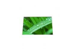 China RGB Vertical Stripe B154EW09 V2 size 15.4 inch LCD Screen supplier