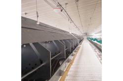 China Broiler Automatic Feeder Chicken Breeding Equipment supplier
