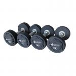 Deluxe Fixed Commercial Rubber Dumbbells Rubber Iron for sale
