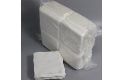 China Class 100 Cleanroom Polyester Wipes Dry Sterile Cleaning Wipes Best Selling Industrial supplier