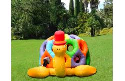 China Cartoon Tortoise Inflatable Bouncer Kids Jumping Castle Structures For Garden / Square supplier