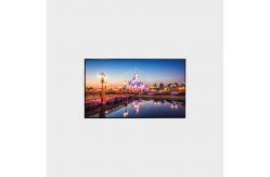 China High Brightness  55 Inch LCD Display 180W LCD Advertising Screen LVDS 1500nits supplier