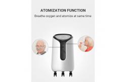 China 10 Liter Portable Oxygen Concentrator supplier