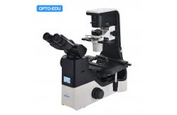 China OPTO EDU A14.1065 Tilting Inverted Phase Contrast Microscope supplier