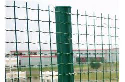 China PVC Plastic Coated Holland 0.5mm Welded Mesh Fencing supplier
