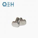 Qbh SS304 Non-Standard Tee T Head Bolt