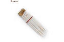 China Wholesale Beekeeping Tools Plastic Royal Jelly Pen Apicultural Tools For Beekeeping supplier