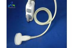 China 1.6MHz GE 4C-D Convex Array Abdominal Probe Ultrasound Transducer supplier