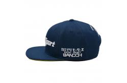 China Cotton Flat Bill Gorras 3D Embroidered Snapback Hats For Men supplier
