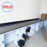 Customizable Polypropylene chemistry lab furniture Hong Kong For Safety And Storage