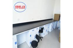 China Customizable Polypropylene chemistry lab furniture Hong Kong For Safety And Storage supplier
