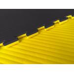 120kg/Cbm Karate Floor Mats / 40mm EVA Foam Workout Tiles for sale