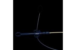 China Medical Devices Sterilized Flexible Acusnare Polypectomy Snare CE Approval supplier
