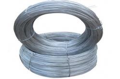 China 1.6mm Anti Rust Electrogalvanized Wire Making Wire Mesh supplier