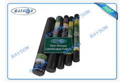 China Super Width Agriculture PP Non Woven Landscape Fabric Small Rolls supplier