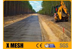 China 4x10m Black Plastic Mesh Netting Roll ASTM D7737 For Municipal Project supplier