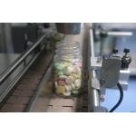 RQ-DSL-16 Tablet Capsule Counting And Bottle Filling Machine Packing Line