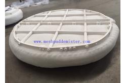 China High Working Temperature Plastic Material PTFE Mesh Pad Mist Eliminator supplier