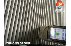 China Austenitic ASTM A213 TP316L 1.4404 Seamless Heat Exchanger Tube supplier