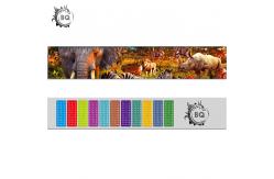 China Gift Custom Lenticular Printing / 3d Lenticular Ruler Egypt Design Printing supplier