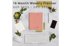 China FSC Medium Academic Planner 2023 2023 With Weekly Overview On 2 Pages supplier