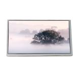 Industrial 10.1 inch LCD Display panel NL12880AC16-01D for sale