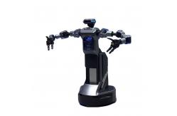 China Ultra-Smart CNGBS Embodied Intelligence Industrial Wheeled Humanoid Robot Autonomous Navigation AI Robots supplier