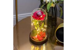 China MDF Wood Base Borosilicate D12xH20cm Glass Dome Cloche supplier
