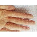 Pest Control 5 Inch Copper Mesh Vendor