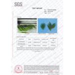Anti UV Certification Large Artificial Banana Plant