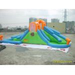 Inflatable Water Slide / inflatable giant pool slide for sale