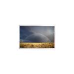 COG-PVLSZT258-01 6.0 inch LCD Screen Display for sale