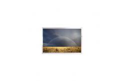 China COG-PVLSZT258-01 6.0 inch LCD Screen Display supplier