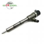 Fuel Injector 0445110752 0445110748 0445110734 0445110735 For Bosch 110 Series