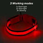 Customized Color LED Dog Collar USB Rechargeable , Nylon LED Pet Dog Collar for sale